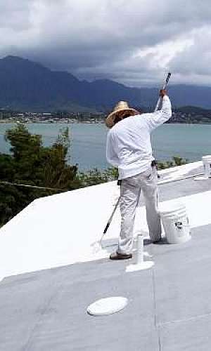 Tinta impermeabilizante para telhado